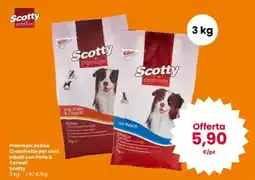 Interspar Premium Active Crocchette per cani adulti con Pollo & Cereali Scotty offerta