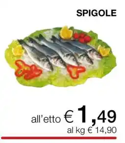 Coop Spigole offerta