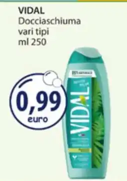 Acqua & Sapone VIDAL offerta