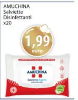 Acqua & Sapone AMUCHINA Salviette Disinfettanti x20 offerta