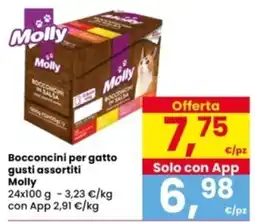 Interspar Bocconcini per gatto Molly offerta