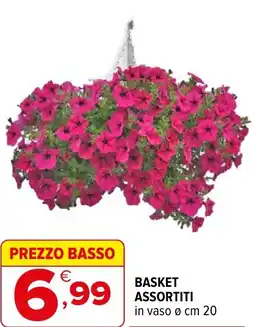Iperal Basket offerta
