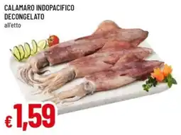 Famila Calamaro indopacifico decongelato offerta