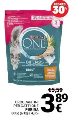 Supermercati Gulliver Croccantini per gatti one PURINA offerta
