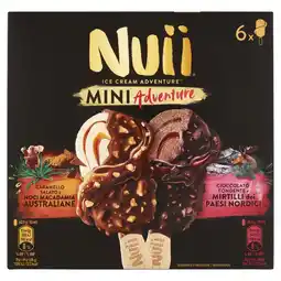Ipercoop GELATO NUII MINI MIX offerta