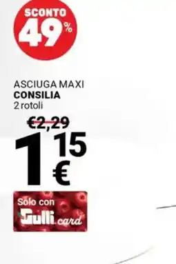 Supermercati Gulliver Asciuga maxi CONSILIA offerta