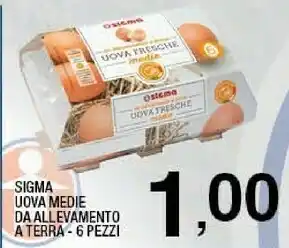 Sigma Sigma uova medie da allevamento offerta