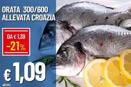Galassia Orata 300/600 allevata croazia offerta