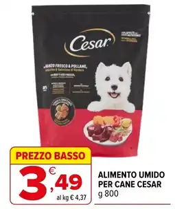 Iperal Alimento umido per cane cesar offerta