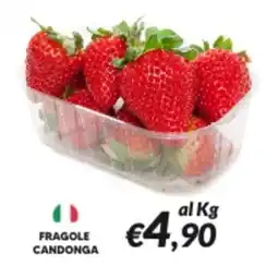 Supermercati Visotto Fragole candonga offerta