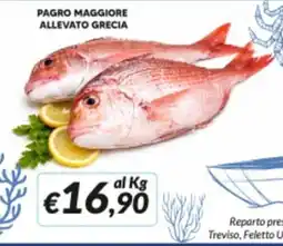 Supermercati Visotto Pagro maggiore allevato grecia offerta