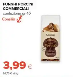 Tigre Funghi porcini commerciali Consilia offerta