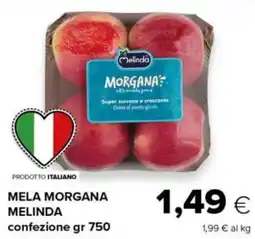 Tigre Mela morgana MELINDA offerta