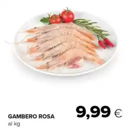 Tigre Gambero rosa offerta