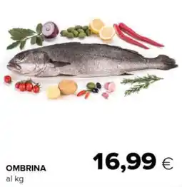 Tigre Ombrina offerta