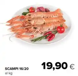 Tigre Scampi 16/20 offerta
