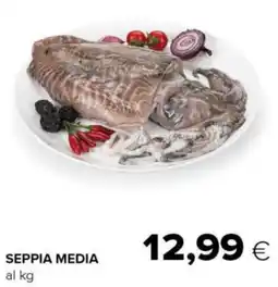 Tigre Seppia media offerta