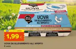 Tigre Fatti buoni uova da allevamento all'aperto offerta