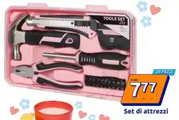 Action Set di attrezzi offerta