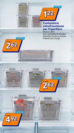 Action Contenitore salvafreschezza per frigorifero offerta
