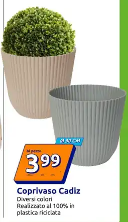 Action Coprivaso Cadiz offerta