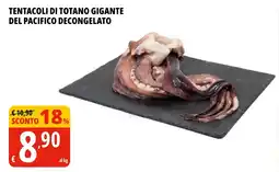 Tigros Tentacoli di totano gigante del pacifico decongelato offerta