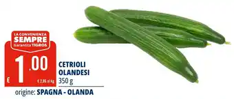 Tigros Cetrioli olandesi offerta