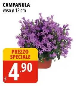 Tigros Campanula offerta