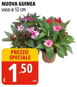 Tigros Nuova guinea offerta