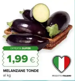 Tigre Melanzane tonde offerta