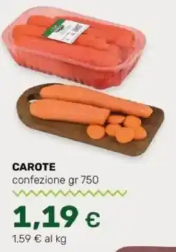 Oasi Carote confezione offerta