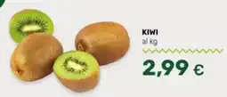 Oasi Kiwi offerta