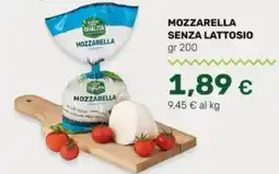 Oasi Mozzarella senza lattosio offerta