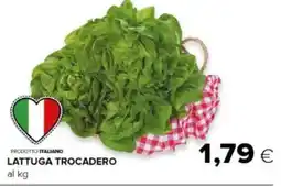 Oasi Lattuga trocadero offerta