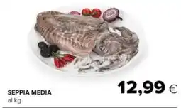 Oasi Seppia media offerta