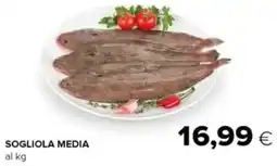 Oasi Sogliola media offerta