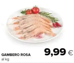 Oasi Gambero rosa offerta