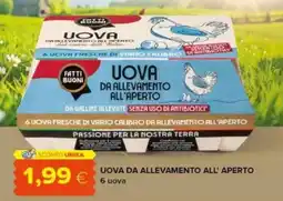 Oasi Uova da allevamento all'aperto offerta
