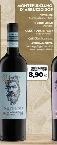Oasi NETTUNO Montepulciano d'Abruzzo DOP offerta