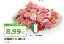 Oasi Spiedini di suino offerta