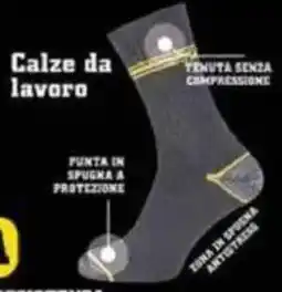 Oasi Calza corta offerta