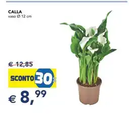 Esselunga Calla offerta