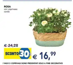Esselunga ROSA offerta