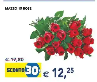 MAZZO 15 ROSE