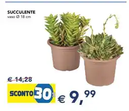 Esselunga Succulente offerta