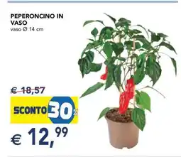 Esselunga PEPERONCINO IN VASO offerta