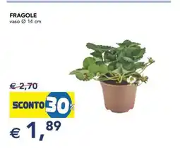 Esselunga Fragole offerta