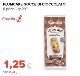 Tigre Consilia plumcake gocce di cioccolato offerta