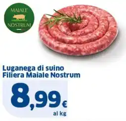 Sigma Luganega di suino Filiera Maiale Nostrum offerta