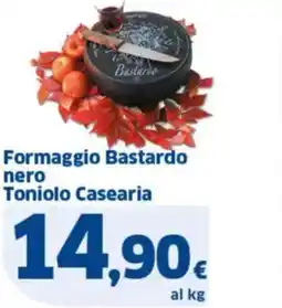 Sigma Formaggio Bastardo nero Toniolo Casearia offerta